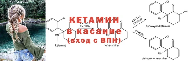 винт Алзамай
