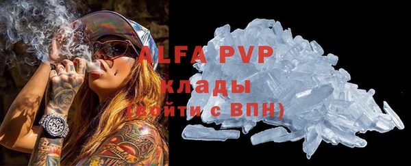 прущие грибы Сатка