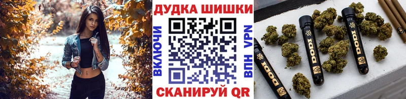 хочу наркоту  Кашин  Марихуана план 